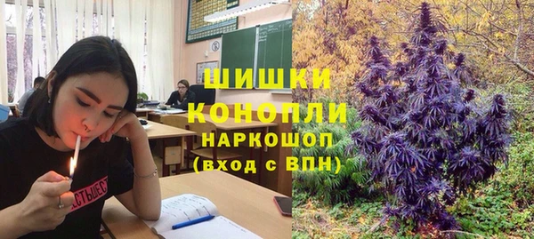 тгк Абдулино