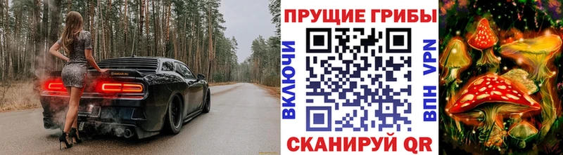 Галлюциногенные грибы Magic Shrooms  Фокино 
